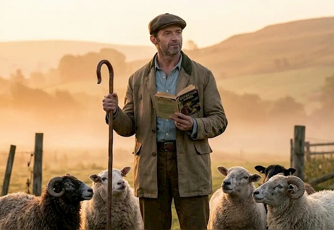 The Sheep Detectives