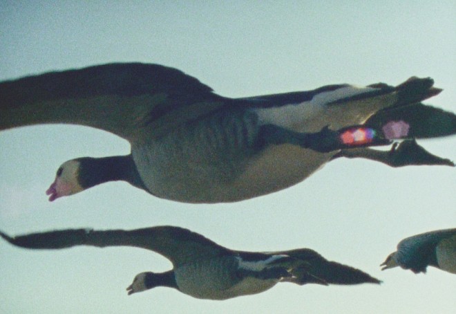 Super Nature